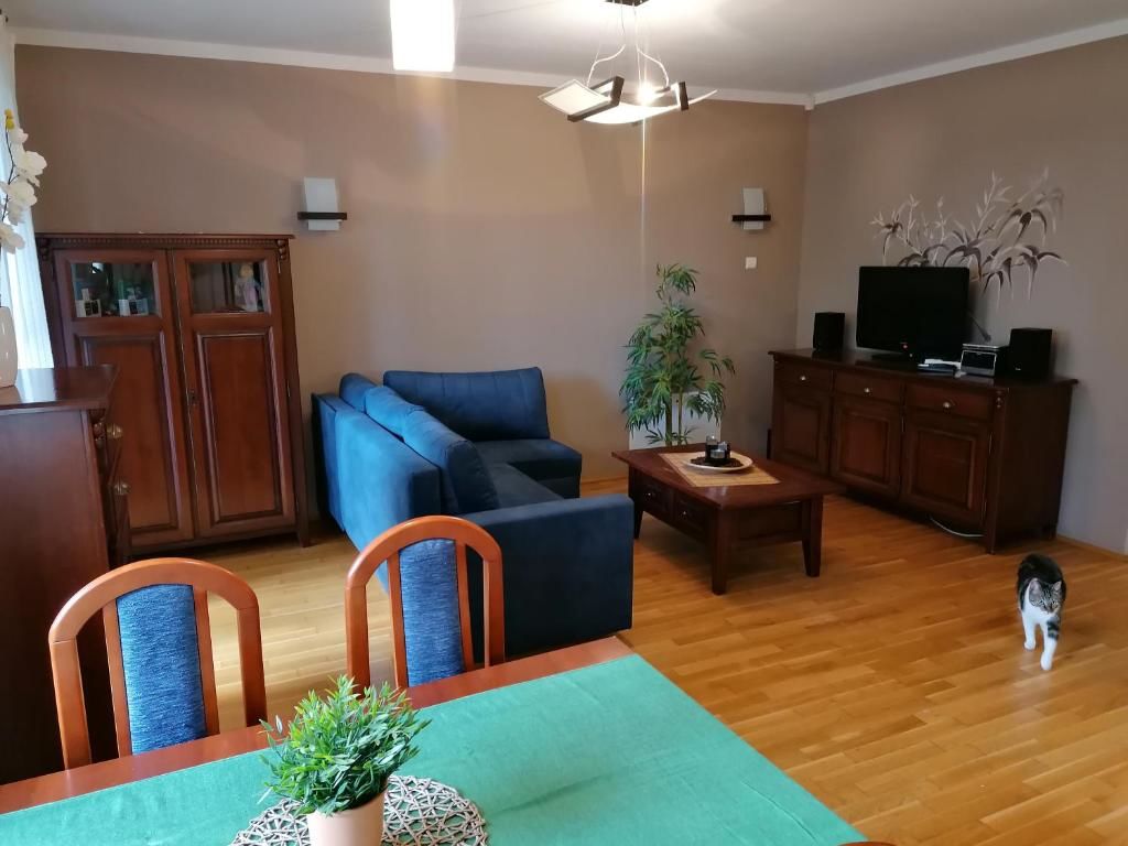 Апартаменты Apartament Bambusowy Карпач